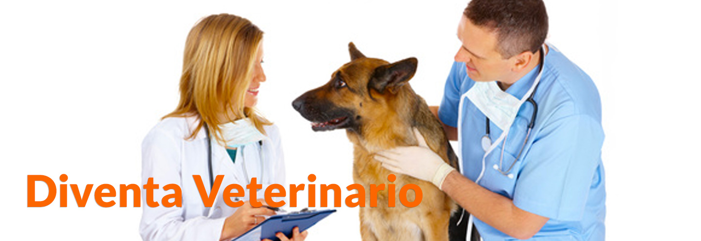 Superare Il Test Di Medicina Senza Studiare