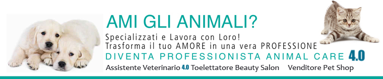 compila gratuitamente il form