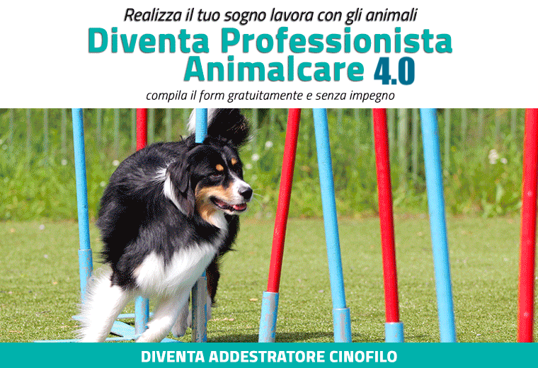 Diventa Professionista Animalcare